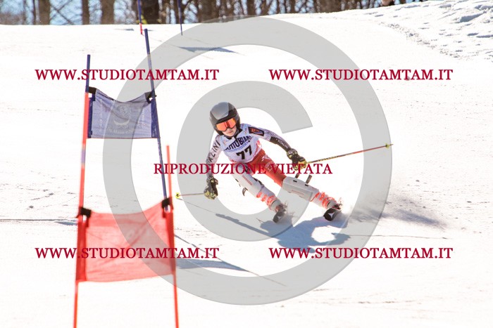MAT_5810.jpg