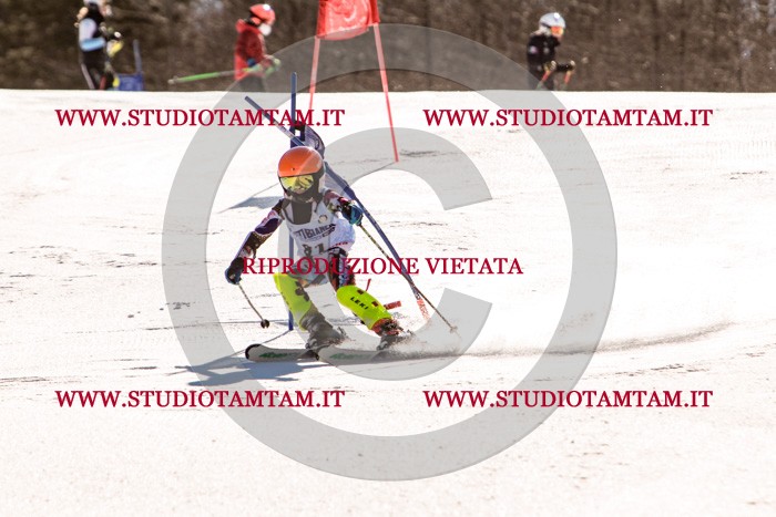 MAT_5830.jpg