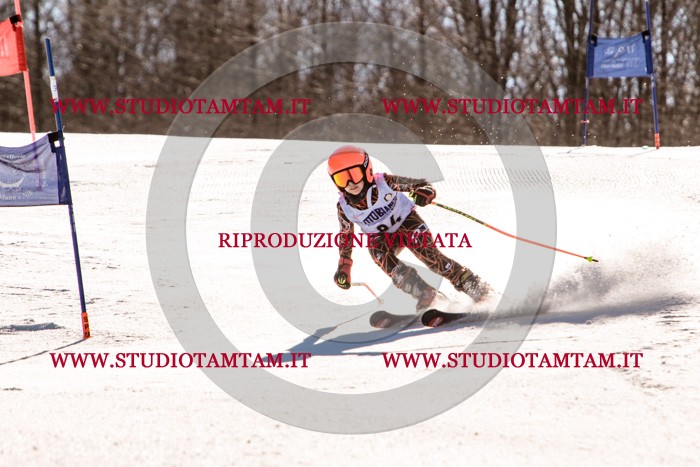 MAT_5848.jpg