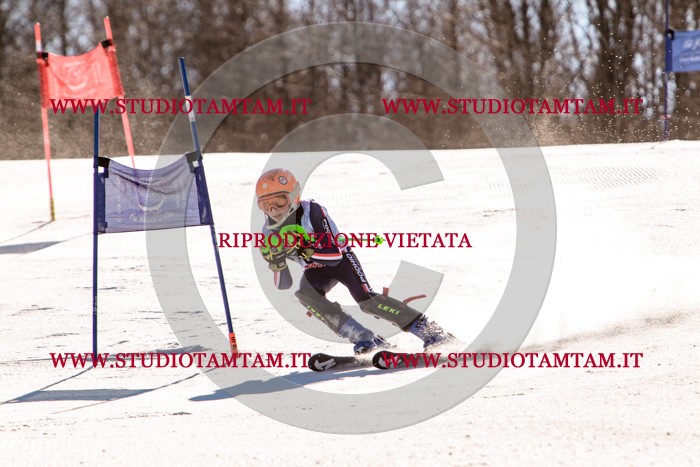 MAT_5861.jpg