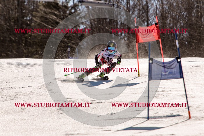 MAT_5869.jpg