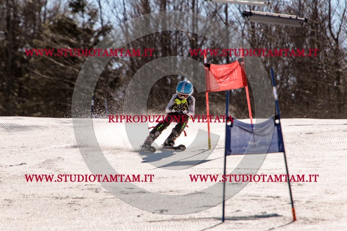 MAT_5880.jpg