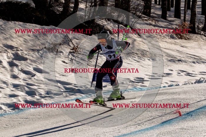MAT_5927.jpg