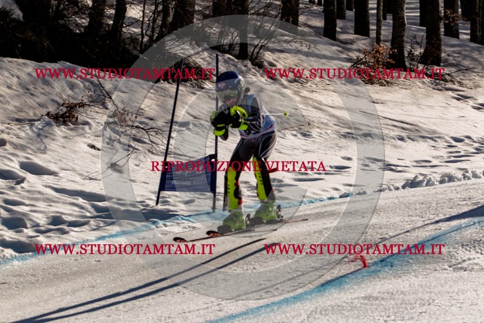 MAT_5939.jpg
