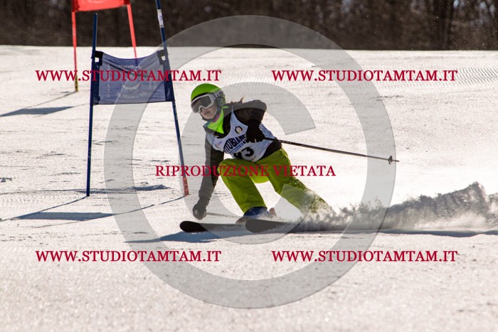 MAT_5949.jpg