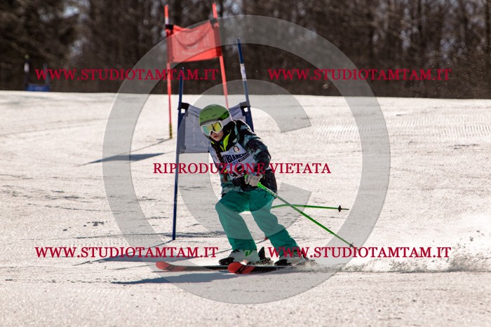 MAT_5974.jpg