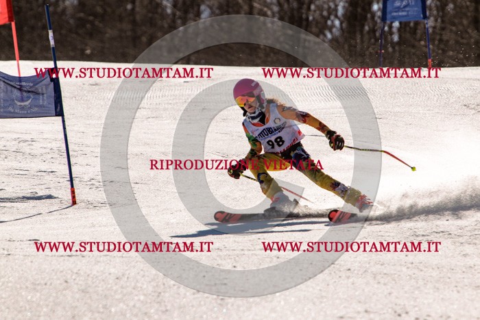MAT_6008.jpg