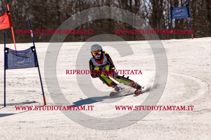 MAT_6017.jpg
