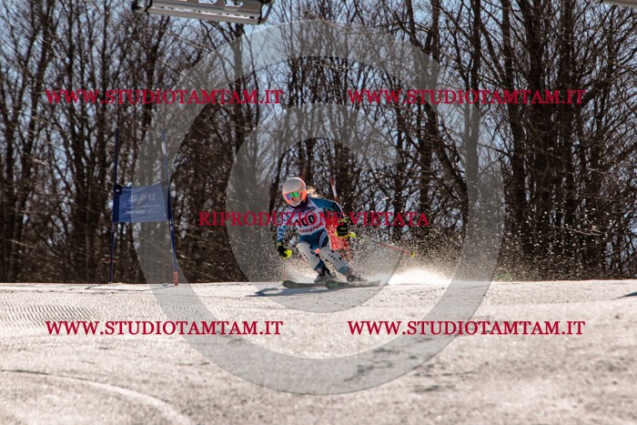 MAT_6028.jpg