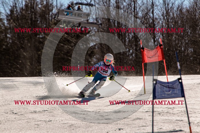 MAT_6032.jpg