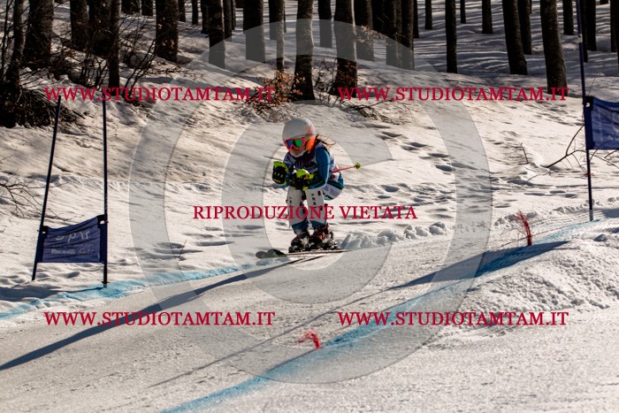 MAT_6036.jpg