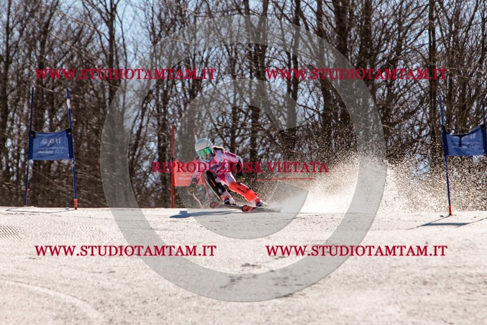 MAT_6052.jpg