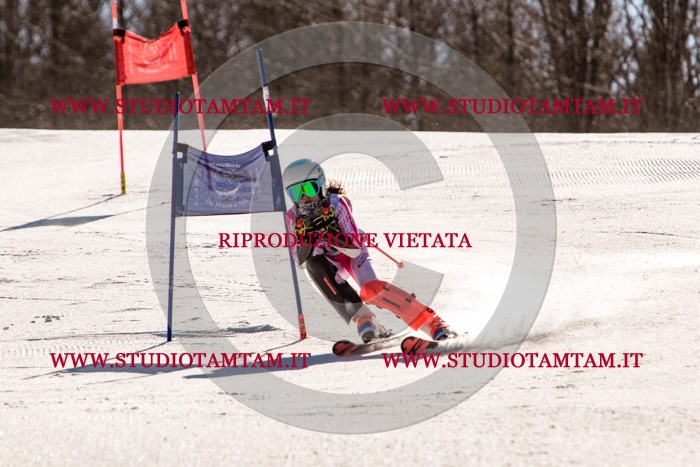 MAT_6059.jpg