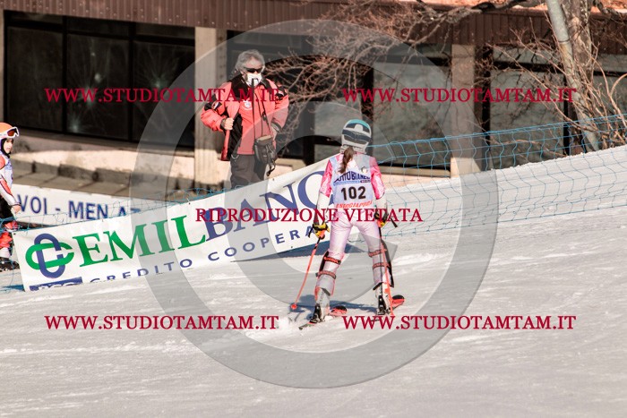 MAT_6064.jpg
