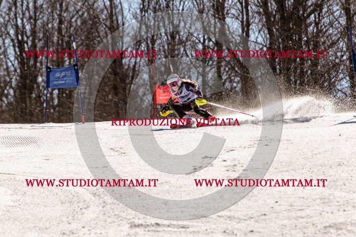 MAT_6089.jpg