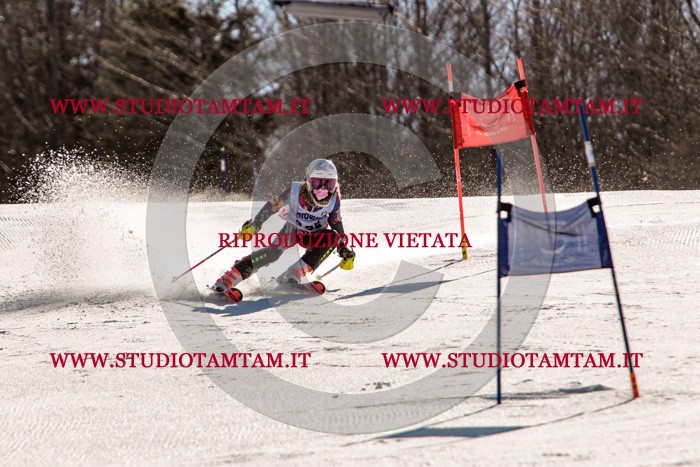 MAT_6092.jpg