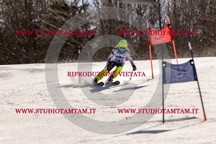 MAT_6114.jpg