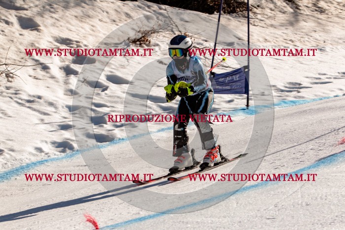 MAT_6220.jpg