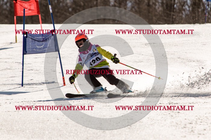 MAT_6237.jpg