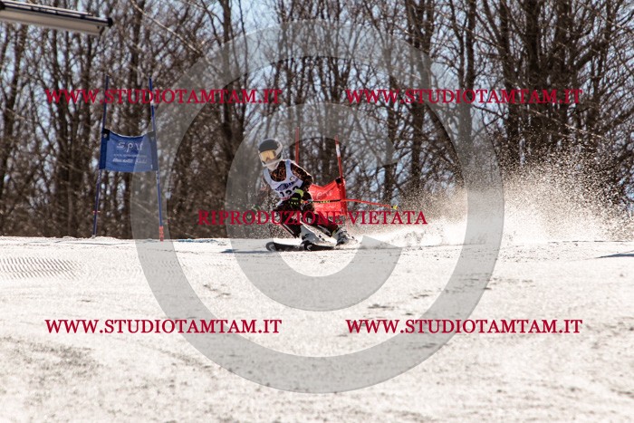 MAT_6256.jpg