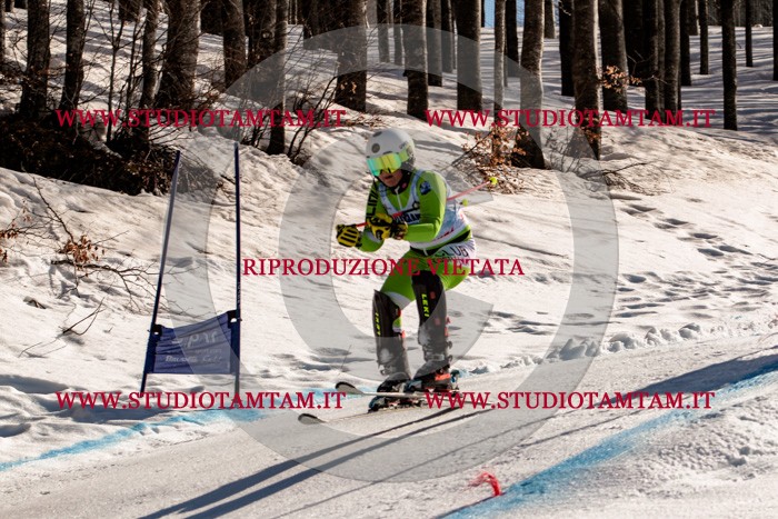 MAT_6276.jpg