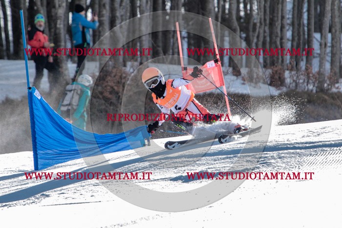 MAT_6370.jpg