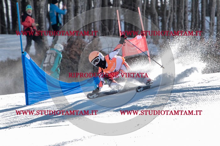 MAT_6371.jpg