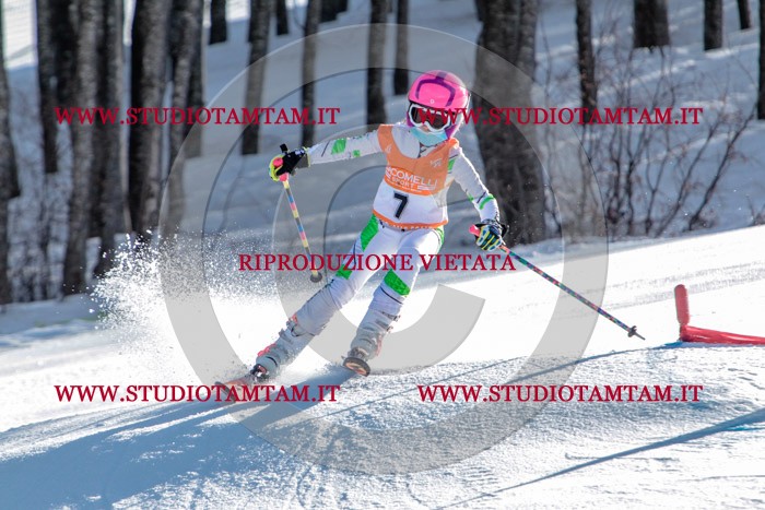 MAT_6385.jpg