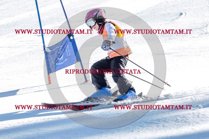 MAT_6411.jpg