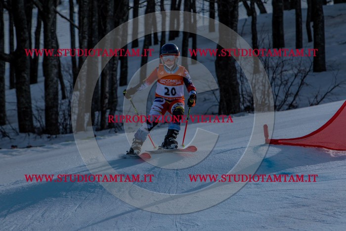 MAT_6528.jpg