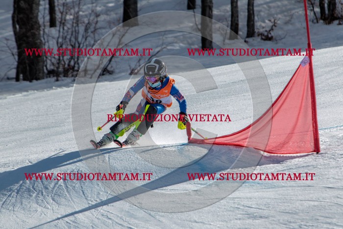 MAT_6650.jpg
