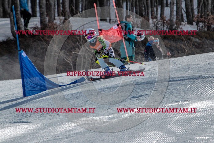 MAT_6782.jpg