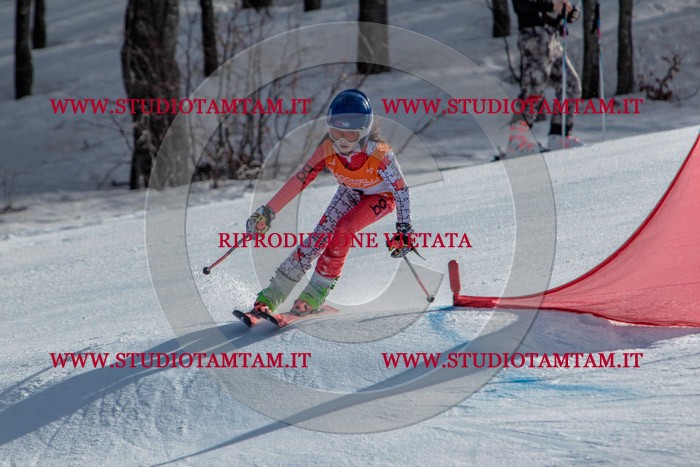 MAT_6808.jpg