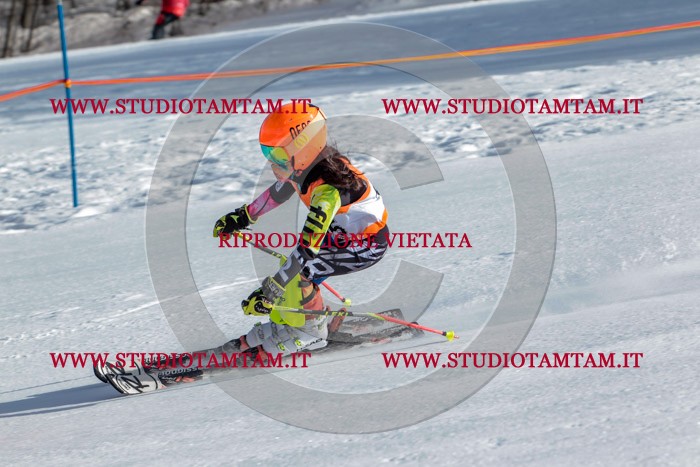 MAT_6851.jpg