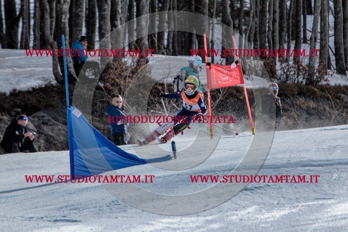 MAT_6964.jpg