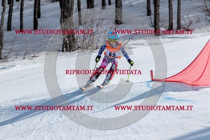 MAT_7067.jpg