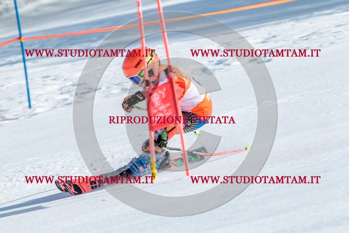MAT_7092.jpg