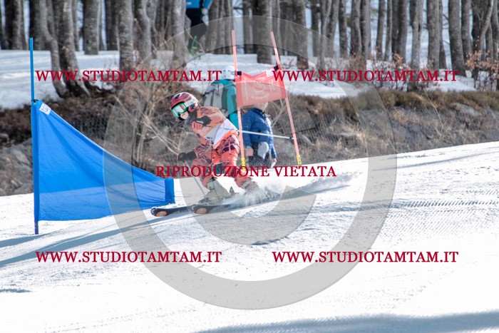MAT_7120.jpg