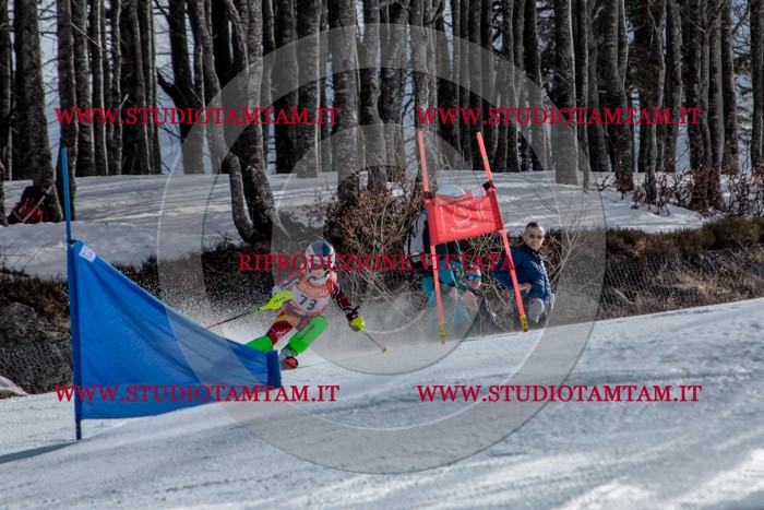MAT_7153.jpg