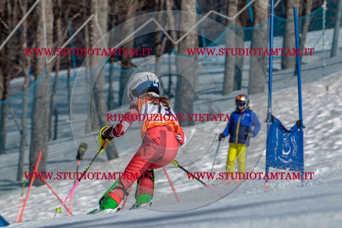 MAT_7164.jpg