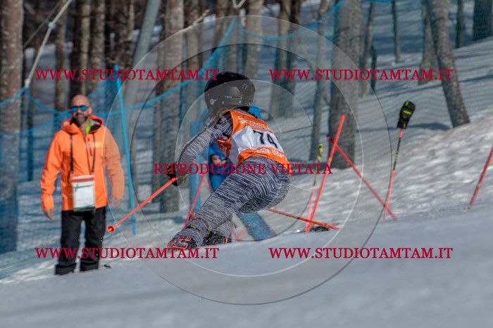 MAT_7179.jpg