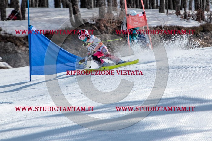MAT_7184.jpg