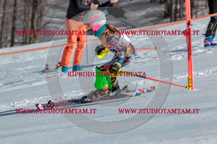 MAT_7239.jpg