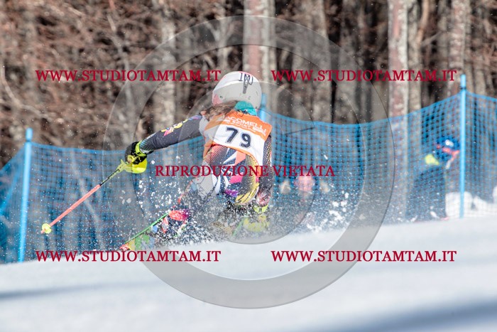 MAT_7240.jpg