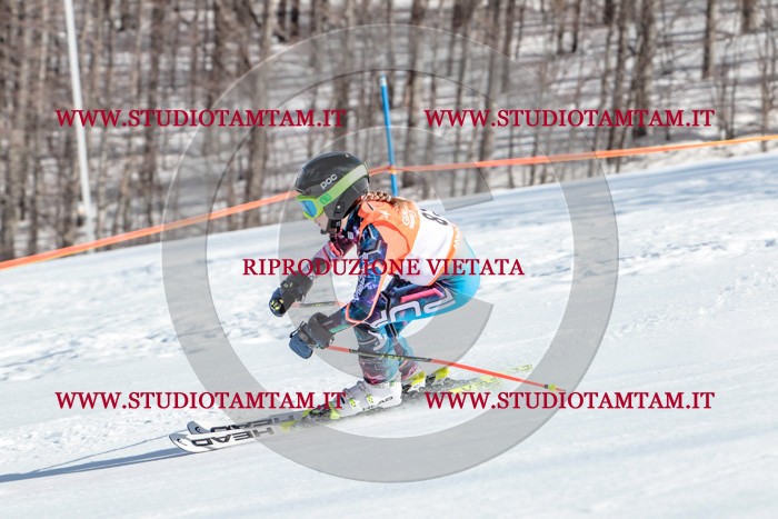 MAT_7264.jpg