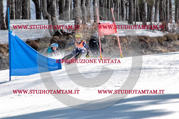 MAT_7382.jpg