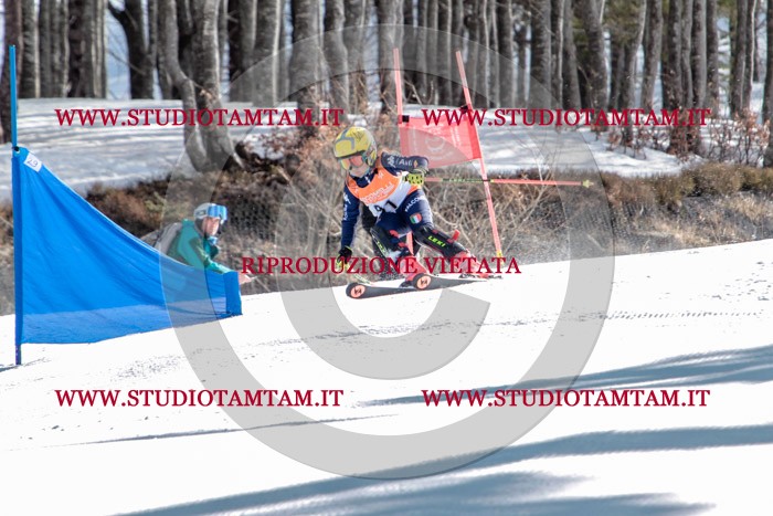 MAT_7383.jpg