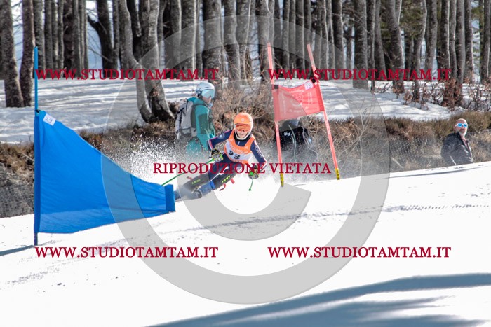 MAT_7394.jpg