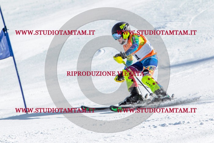 MAT_7414.jpg