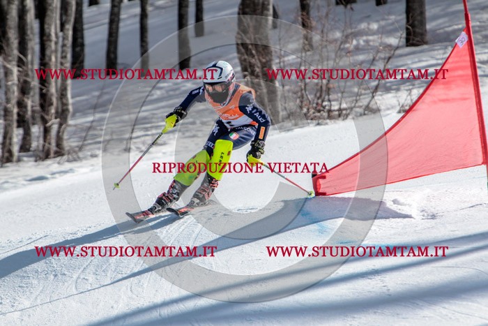 MAT_7434.jpg